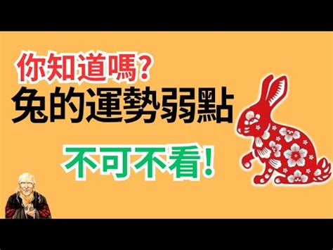 屬兔座向|【屬兔房子坐向】屬兔住房指南：風水方位與最佳樓層